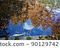 Autumn Suma Rikyu Park (Kobe) 90129742