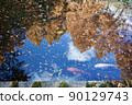 Autumn Suma Rikyu Park (Kobe) 90129743