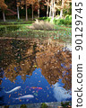 Autumn Suma Rikyu Park (Kobe) 90129745