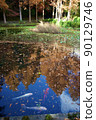 Autumn Suma Rikyu Park (Kobe) 90129746