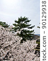 Sakura in Shukugawa Park, Nishinomiya City, Hyogo Prefecture (2022) 90129938