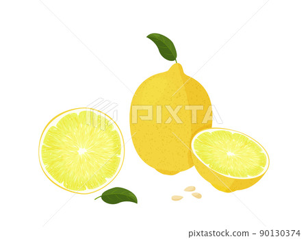 Fresh lemon fruit illustration. Isolated on white background. 90130374