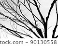 樹 90130558
