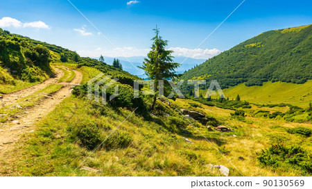 trees and shrubs along the rural road uphill. countryside landscape on a sunny summer morning. mountain ridge in the distance. bright blue sky with clouds. beautiful outdoor green nature background 90130569