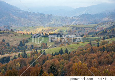 Cloudy and foggy day autumn mountains scene. Peaceful picturesque traveling, seasonal, nature and countryside beauty concept scene. Carpathian Mountains, Ukraine. 90131029