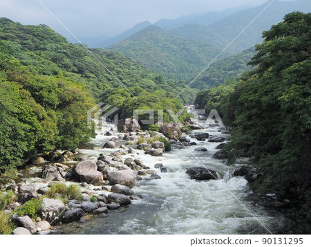 View of Yokogawa Valley on Yakushima View of Yokogawa Valley on Yakushima 90131295