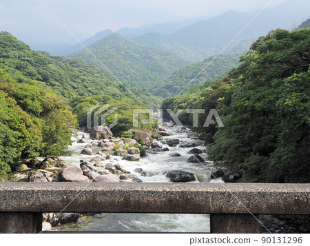 View of Yokogawa Valley on Yakushima View of Yokogawa Valley on Yakushima 90131296