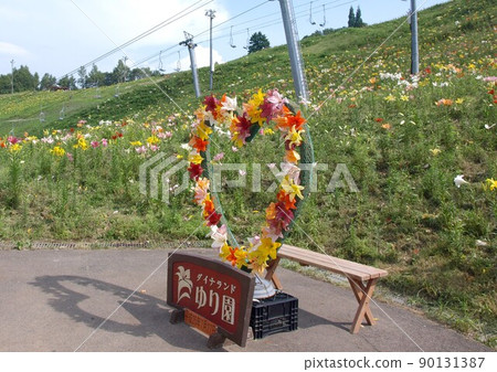 Dynaland Yurien 1 90131387