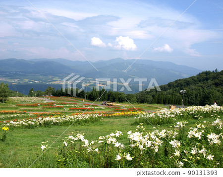 Dynaland Yurien 5 90131393