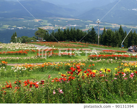 Dynaland Yurien 6 90131394