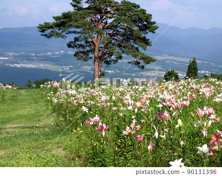 Dynaland Yurien 7 Dynaland Yurien 7 90131396