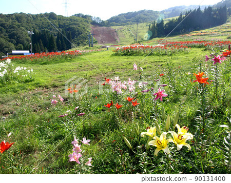 Dynaland Yurien 9 Dynaland Yurien 9 90131400