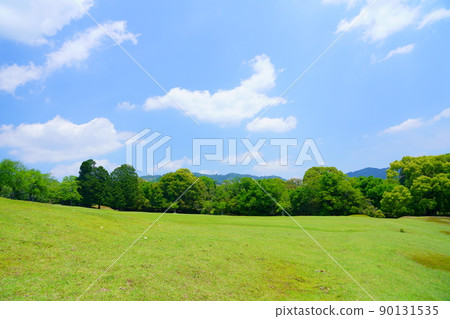 5月，奈良公園，飛日野綠化 90131535