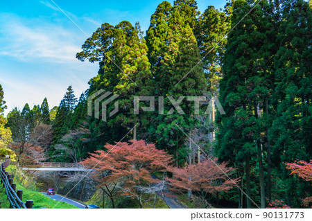 從比叡延歷山東塔區域的奧比叡車道看到的秋葉 90131773