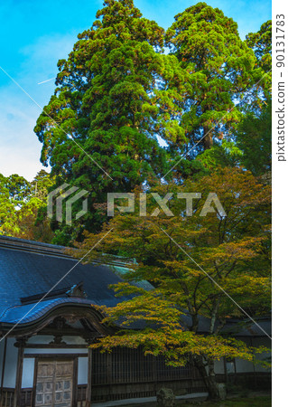 Jodoin and autumn leaves at Enryakuji Temple on Mt. Hiei, a World Cultural Heritage Site Jodoin and autumn leaves at Enryakuji Temple on Mt. Hiei, a World Cultural Heritage Site 90131783