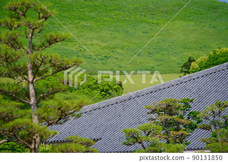 從5月開始,清爽的奈良公園、浮雲園地到奈良國際論壇 從5月開始,清爽的奈良公園、浮雲園地到奈良國際論壇 90131850