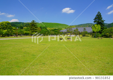 從5月開始,清爽的奈良公園、浮雲園地到奈良國際論壇 從5月開始,清爽的奈良公園、浮雲園地到奈良國際論壇 90131852
