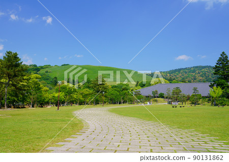 從5月開始,清爽的奈良公園、浮雲園地到奈良國際論壇 從5月開始,清爽的奈良公園、浮雲園地到奈良國際論壇 90131862
