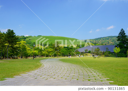 從5月開始，清爽的奈良公園、浮雲園地到奈良國際論壇 90131865