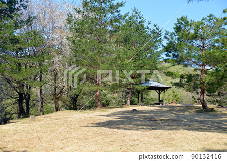 [Myoko City, Niigata Prefecture] Hidarekishinosato Samegao Castle Ruins April scenery 90132416