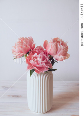 Coral peonies in full bloom in vase. 90134611