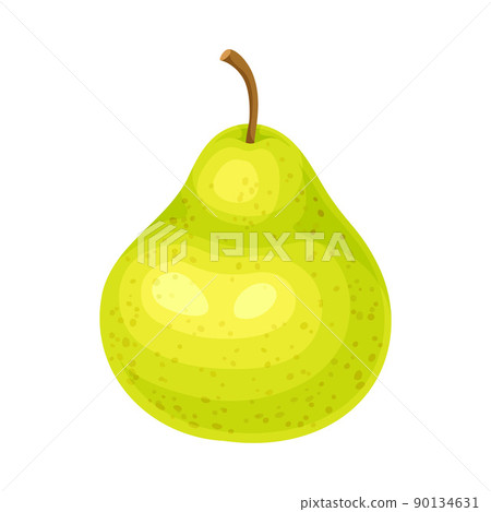 Whole Ripe Green Pear Pomaceous Fruit as Organic Garden Crop Vector Illustration 90134631