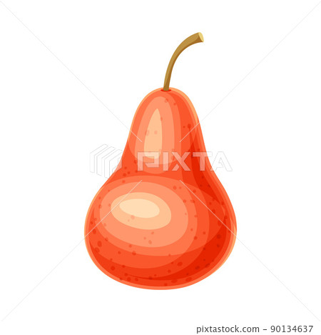 Whole Ripe Red Pear Pomaceous Fruit as Organic Garden Crop Vector Illustration 90134637