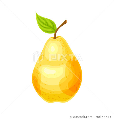 Whole Ripe Yellow Pear Pomaceous Fruit as Organic Garden Crop Vector Illustration 90134643