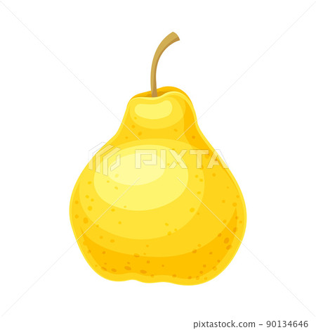 Whole Ripe Yellow Pear Pomaceous Fruit as Organic Garden Crop Vector Illustration 90134646
