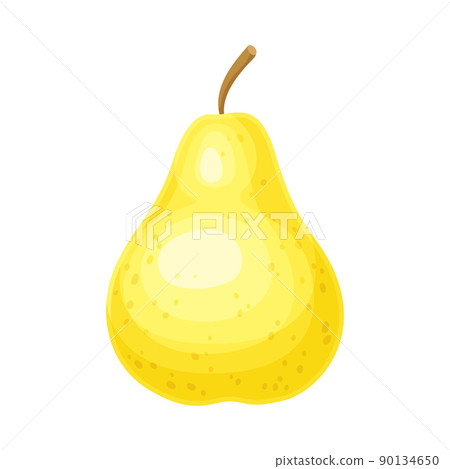 Whole Ripe Yellow Pear Pomaceous Fruit as Organic Garden Crop Vector Illustration 90134650