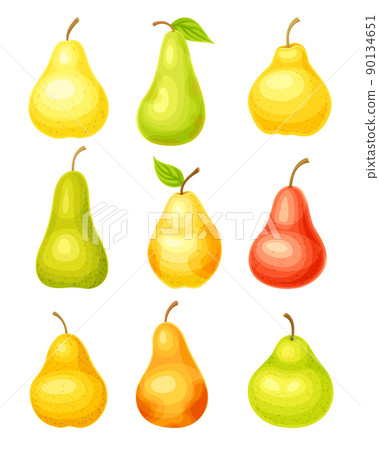 Whole Ripe Pear Pomaceous Fruit as Organic Garden Crop Vector Set 90134651