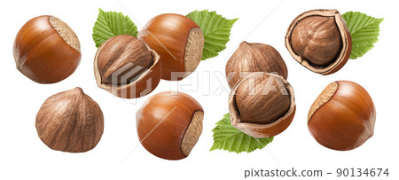 Hazelnut set isolated on white background. Nuts in nutshell with leaves. Hazelnut set isolated on white background. Nuts in nutshell with leaves. 90134674