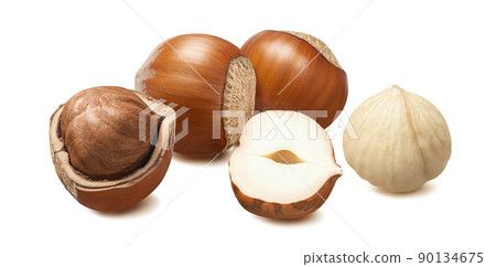 Hazelnuts isolated on white background. Horizontal layout. Whole nuts in nutshell 90134675