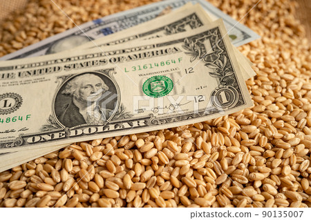 US dollar banknotes on grains wheat, Global Food Crisis concept. US dollar banknotes on grains wheat, Global Food Crisis concept. 90135007