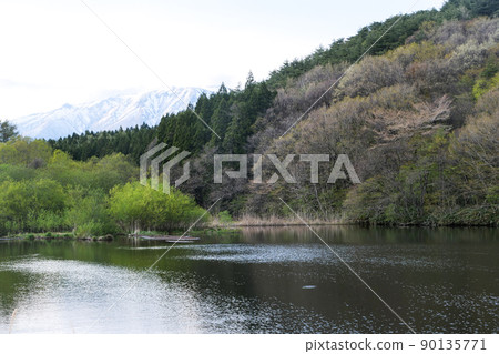 Landscape, photo: May waterside landscape in a snowy country: Wild cherry blossoms bloom and willows burn Landscape, photo: May waterside landscape in a snowy country: Wild cherry blossoms bloom and willows burn 90135771