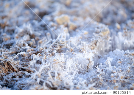 A cold morning scene, a winter tradition, frost pillars (Mt. Chausu, Toyone Village, Aichi Prefecture) A cold morning scene, a winter tradition, frost pillars (Mt. Chausu, Toyone Village, Aichi Prefecture) 90135814