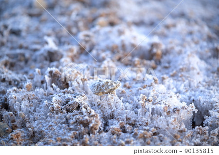 A cold morning scene, a winter tradition, frost pillars (Mt. Chausu, Toyone Village, Aichi Prefecture) A cold morning scene, a winter tradition, frost pillars (Mt. Chausu, Toyone Village, Aichi Prefecture) 90135815
