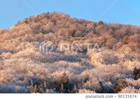 樹上的霧凇 冬季傳統（愛知縣豐根村茶臼山） 90135874