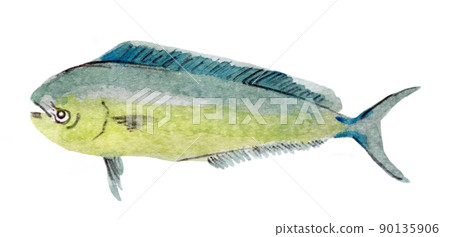 左臉海豚魚 90135906