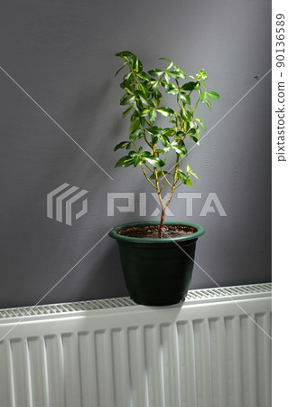 independent home heating concept 90136589