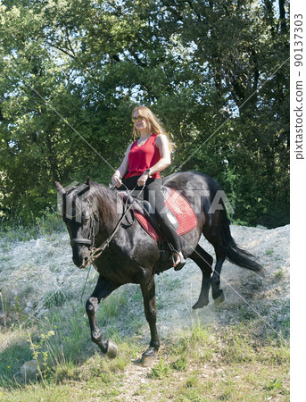 riding girl and horse 90137303