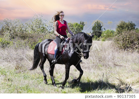 riding girl and horse riding girl and horse 90137305