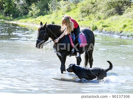 riding girl, dog and horse in river riding girl, dog and horse in river 90137306