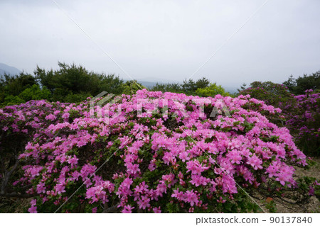 Hayami-gun (Hiji-cho) Keitsukayama Miyama Kirishima 90137840