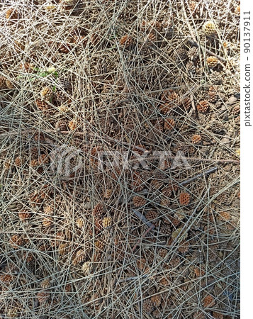 decorative ground 90137911