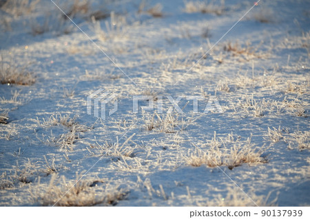 Asahi light shining in the frost (Mt. Chausu, Toyone Village, Aichi Prefecture) Asahi light shining in the frost (Mt. Chausu, Toyone Village, Aichi Prefecture) 90137939