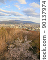 Matsumoto city seen from Shiroyama Park 90137974
