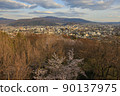 Matsumoto city seen from Shiroyama Park 90137975