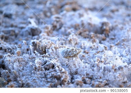 A cold morning scene, a winter tradition, frost pillars (Mt. Chausu, Toyone Village, Aichi Prefecture) A cold morning scene, a winter tradition, frost pillars (Mt. Chausu, Toyone Village, Aichi Prefecture) 90138005