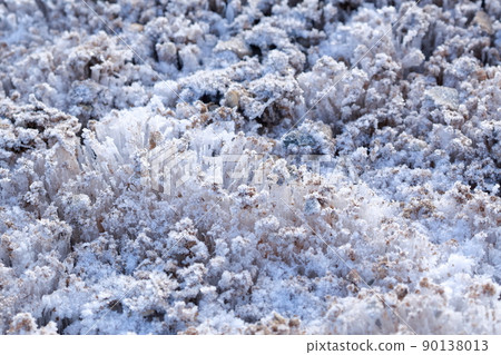 A cold morning scene, a winter tradition, frost pillars (Mt. Chausu, Toyone Village, Aichi Prefecture) A cold morning scene, a winter tradition, frost pillars (Mt. Chausu, Toyone Village, Aichi Prefecture) 90138013
